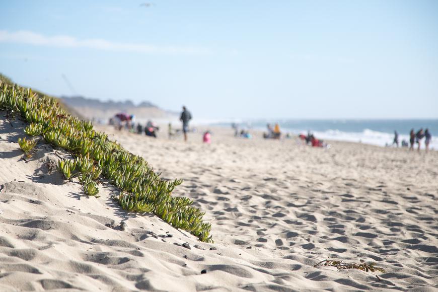 California's Hidden Coastal Gems: A Guide to the Best Beaches Near Spring Valley