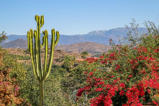 Southern California's Fallbrook Remains A Hidden Gem in the State