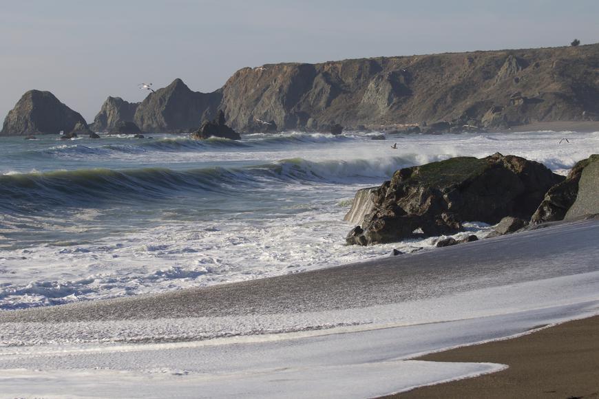 Unforgettable Shores Near Rohnert Park: Discover the Top 5 Beaches
