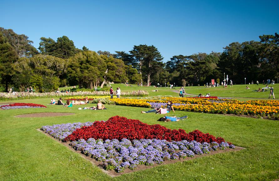 7 Fun Facts About Golden Gate Park