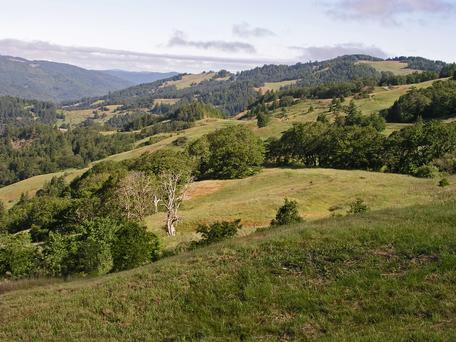 Here's Your Guide to Rio Dell CA