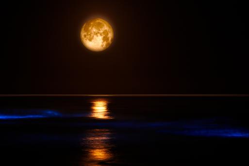 When to See The Last Full Moon of 2023 in California