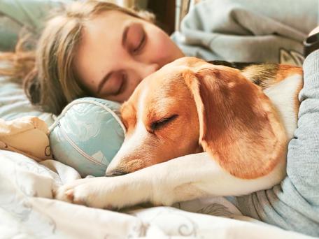 California's Best Sleep Apps and Products