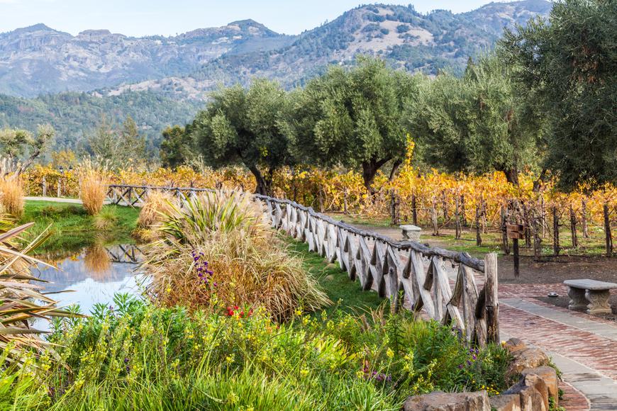 How to Spend a Perfect Weekend in Sonoma County, According to a Realtor