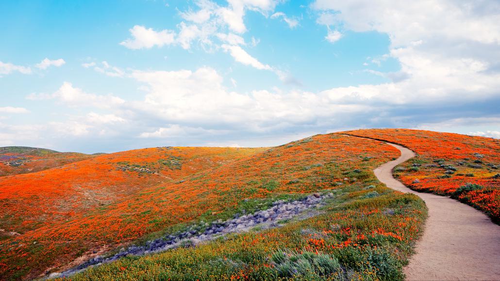 The 13 Best Hikes in Southern California to Take This Spring