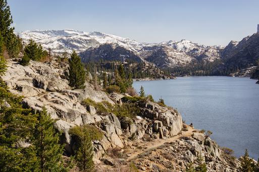 Top Colleges Near Tracy, California: Addresses, Unique Features, and History