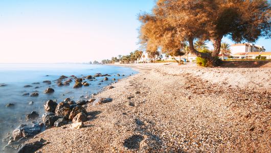 Looking for the Best Beaches near San Marcos, California?