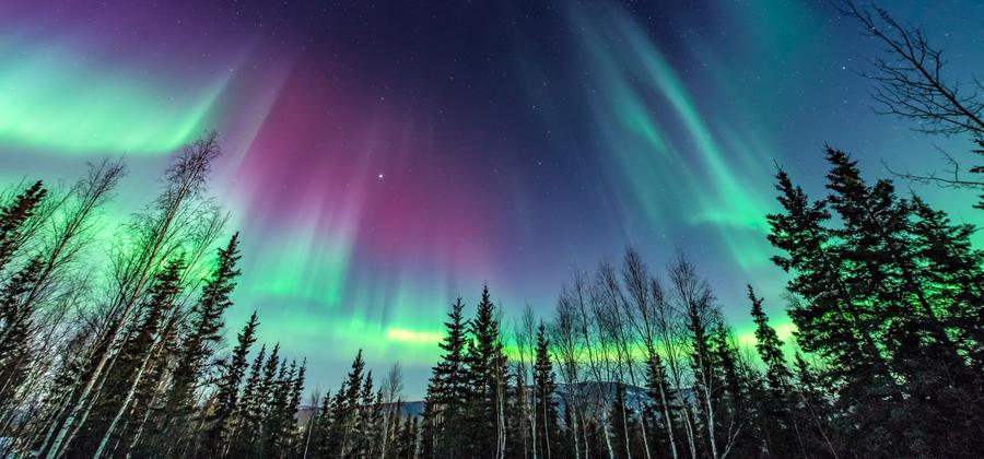 The Northern Lights Could be Visible in California This Week, Here's Everything to Know