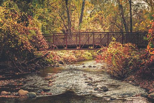 7 Top Things To Do in Chico