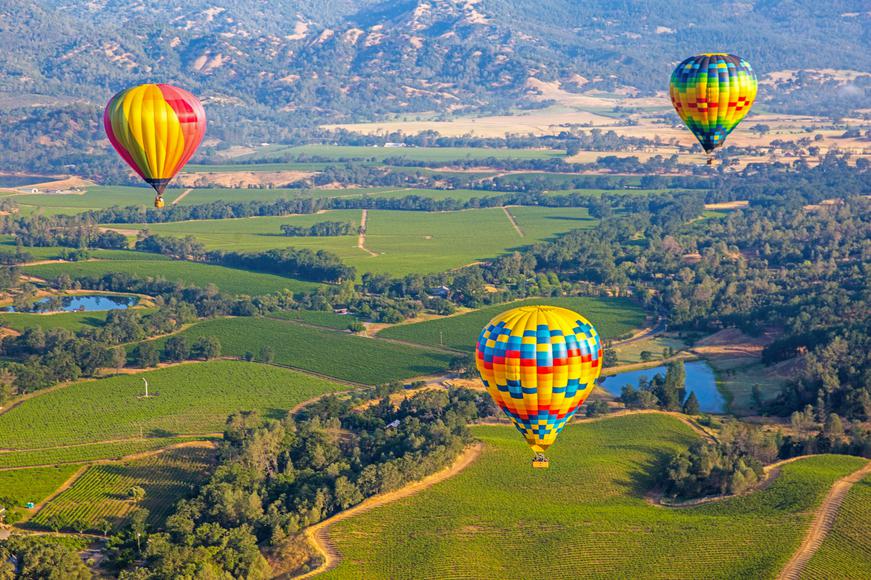 Top 42 things to do and attractions in Napa