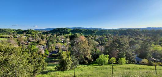 9 Fun Things To Do in Walnut Creek