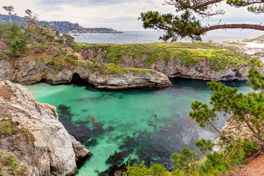 17 Unique Things To Do in Monterey