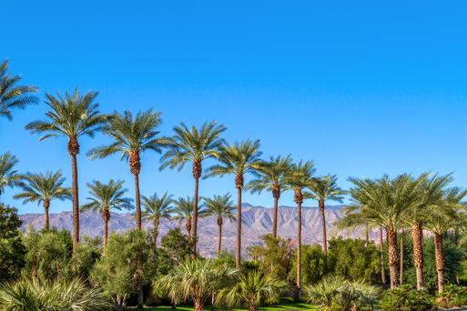Everything You Need To Know About Visiting Palm Springs
