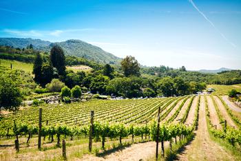best time to tour california wine country