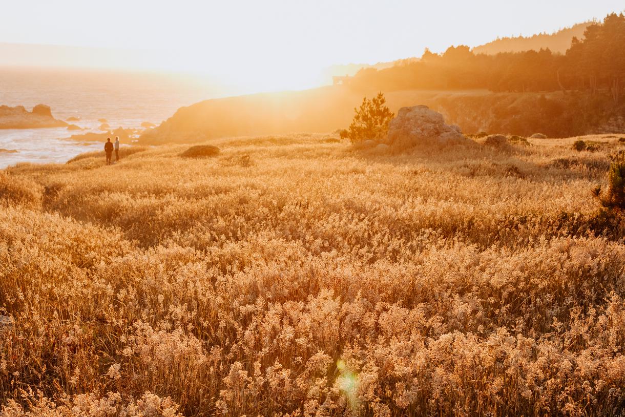 The various hiking trails lead to spectacular views.